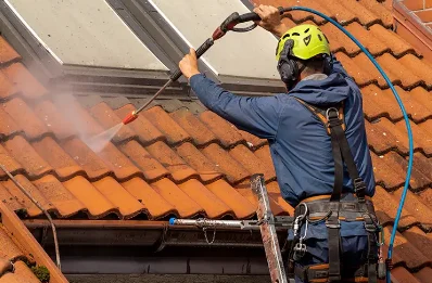 Démoussage et hydrofuge de toiture à Billiers
